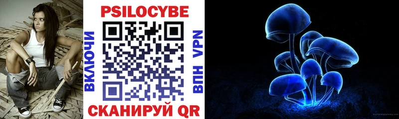 Псилоцибиновые грибы Psilocybine cubensis  магазин продажи наркотиков  дарк нет Telegram  Вологда 